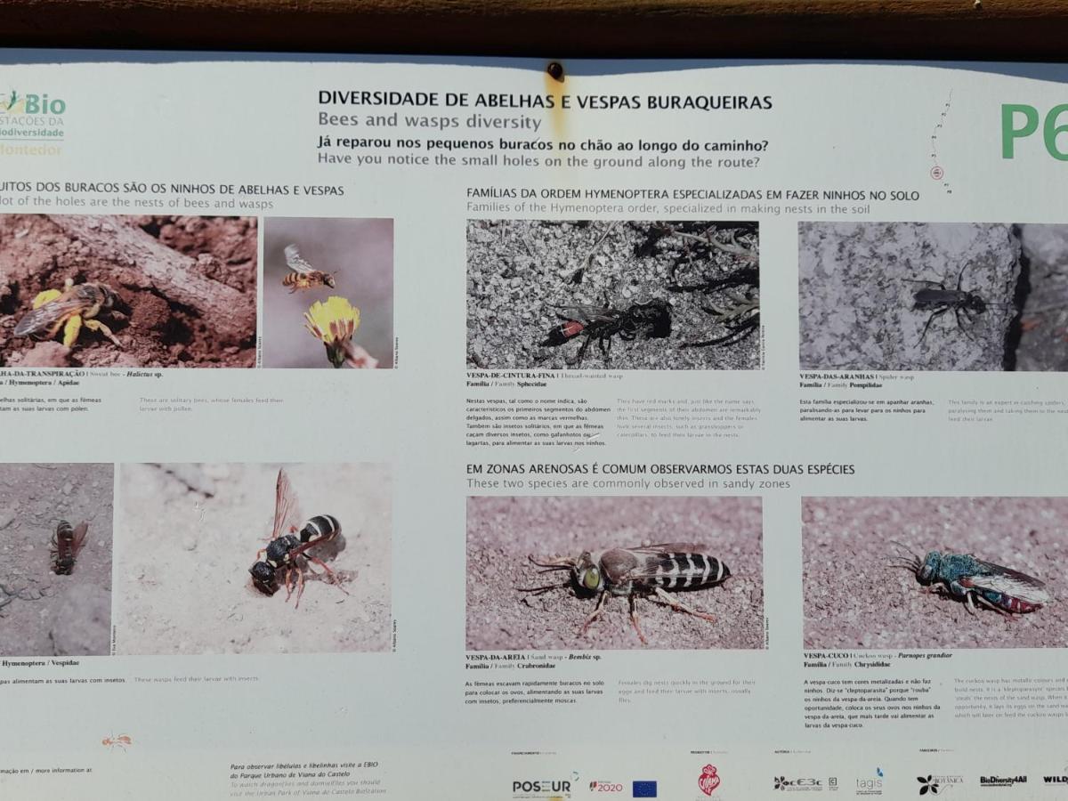 Carreco Casa Da Varanda المظهر الخارجي الصورة